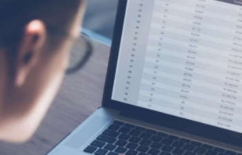 a person looking at data on the laptop screen